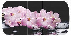 Розовая орхидея Бостон-3 (Брифинг-хром)
