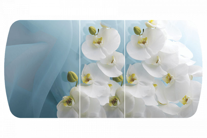 Белая орхидея Бостон-3 (Триумф-хром)