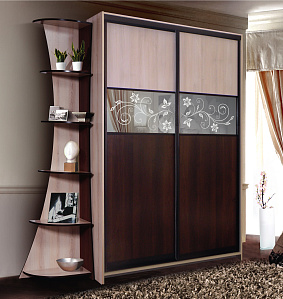 Шкаф-купе Шкаф-купе