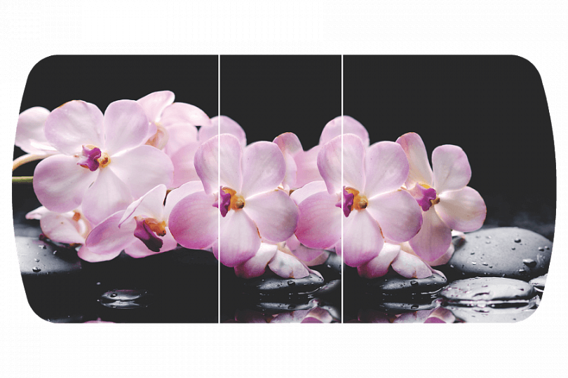 Розовая орхидея Бостон-3 (Триумф-хром)