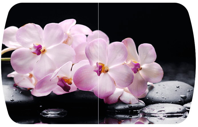 Розовая орхидея Бостон-2 (Брифинг-хром)