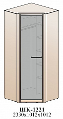 Угловой шкаф (комбинированный)